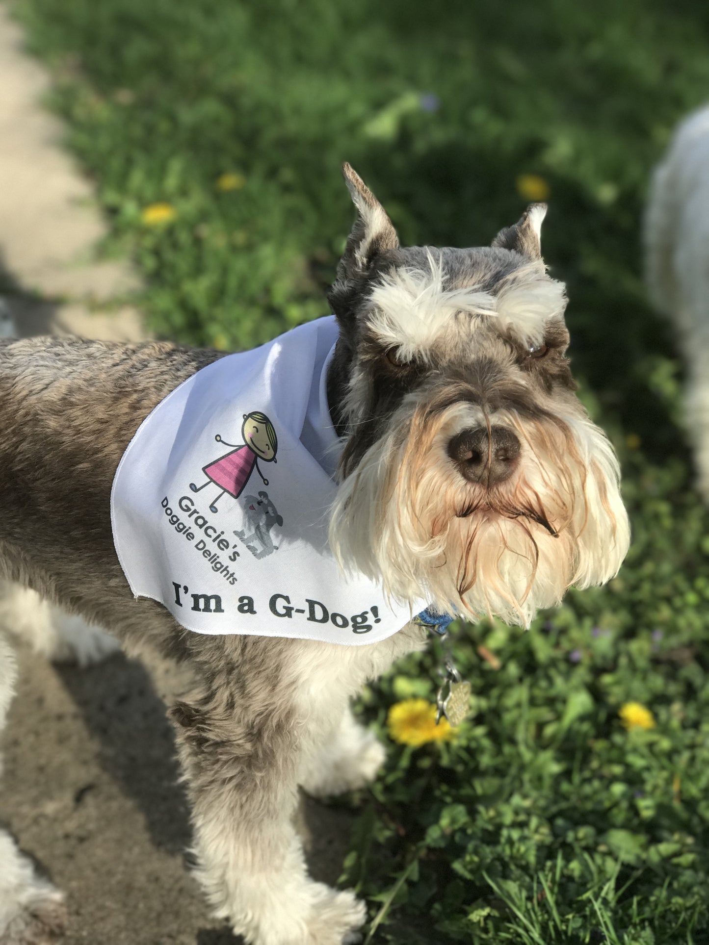 Dog wearing Gracie's Doggie Delights Bandana