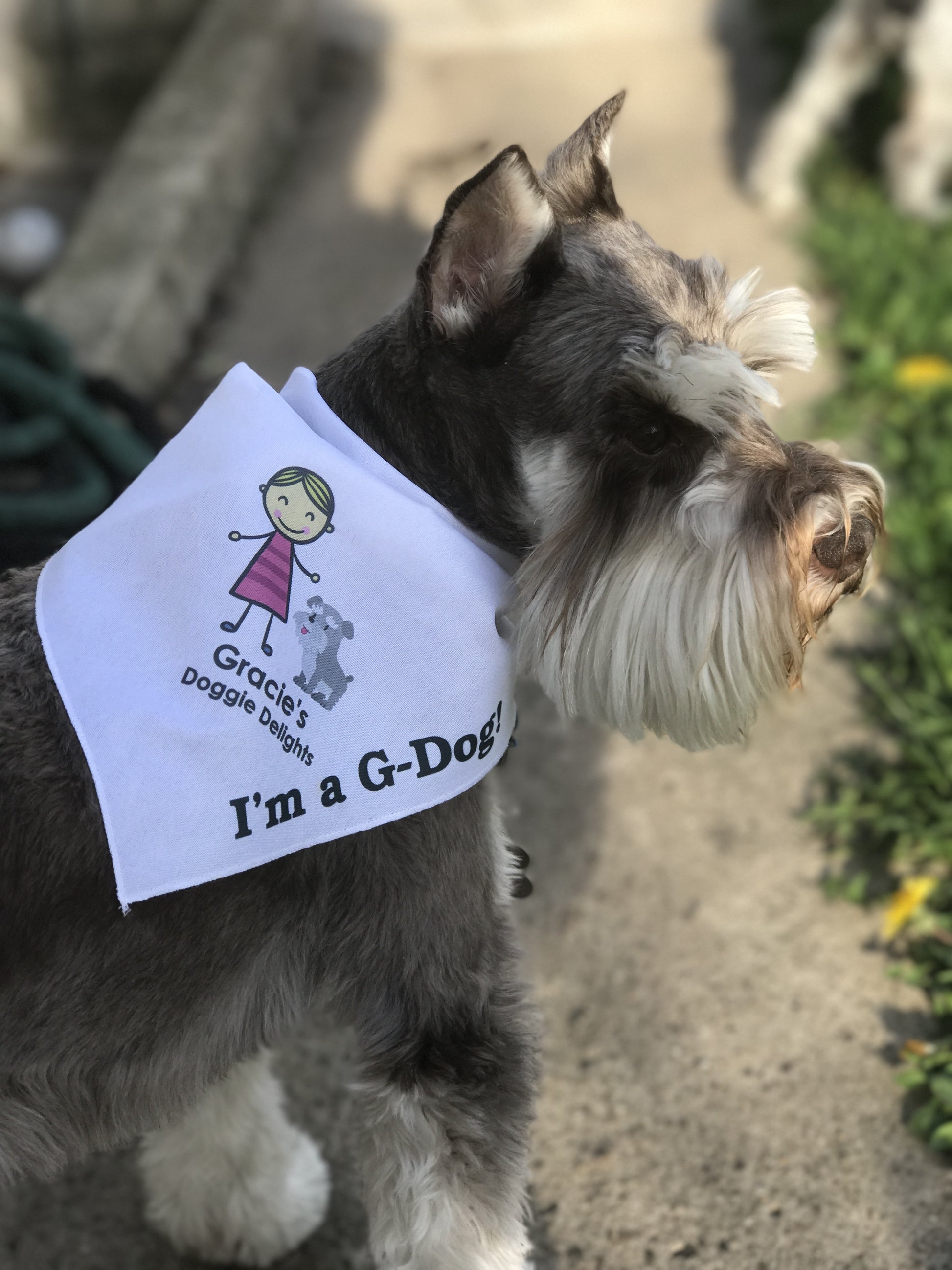 Dog Wearing Gracie's Doggie Delights bandana